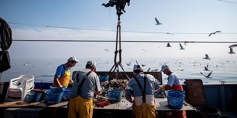 Cerca de 2.600 pescadores de 45 puertos españoles recogen más de 150 toneladas de basura marina