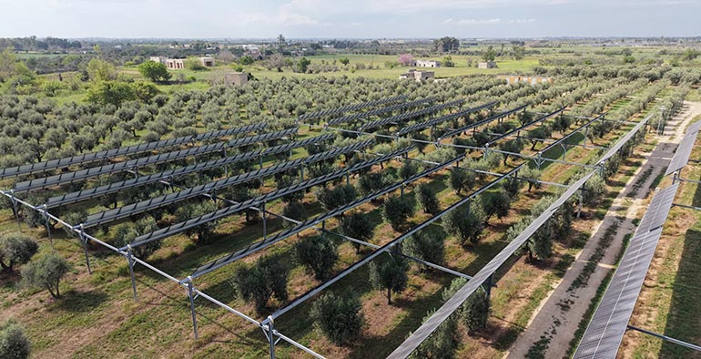 La agrovoltaica gana terreno como fórmula para reducir costes agrícolas y contener el precio de los alimentos