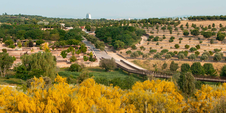 Acciona impulsa la conservación y sostenibilidad en uno de los principales pulmones verdes de Madrid