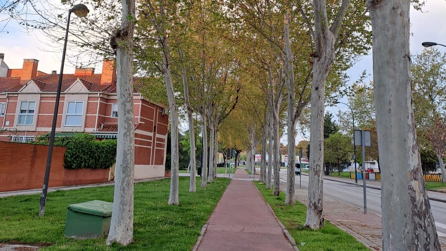 ACCIONA se adjudica la gestión y el control de la vegetación en Getafe