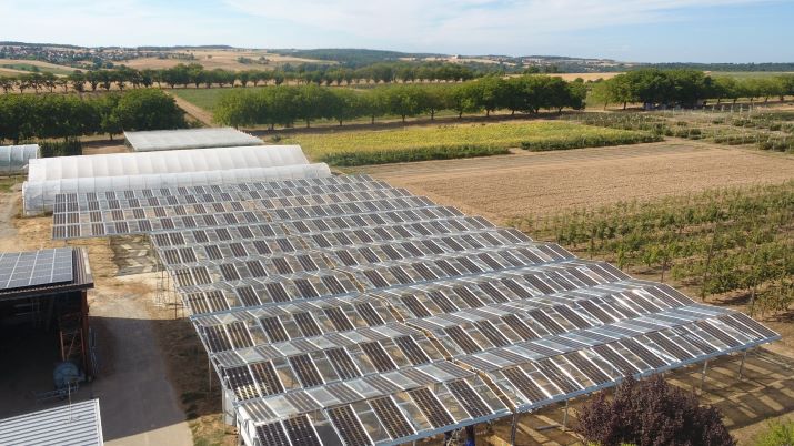 BayWa r.e. avanza en la investigación en el campo de la energía agrovoltaica con cuatro nuevos proyectos piloto ubicados en los Países Bajos