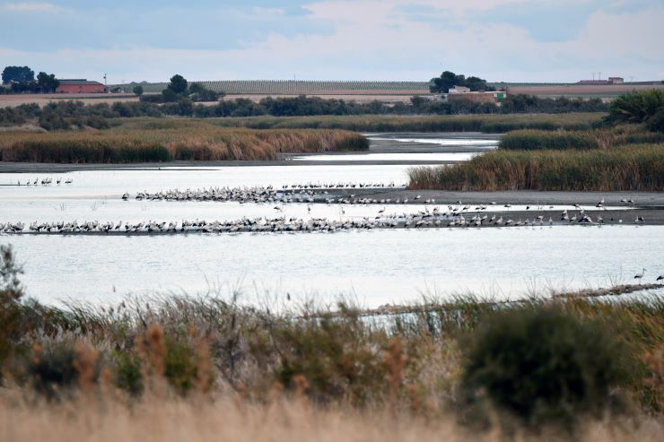 agua deficit hídrico abastecimiento