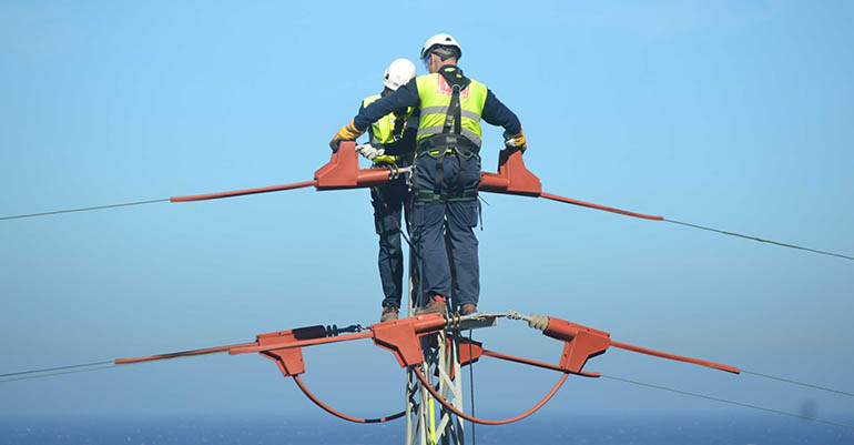 Endesa adapta 11.000 apoyos eléctricos para proteger a la avifauna y la biodiversidad