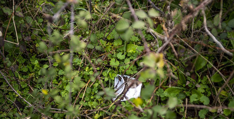 LIBERA moviliza a 5.987 personas voluntarias que retiran 10,96 toneladas de basuraleza en 413 entornos terrestres