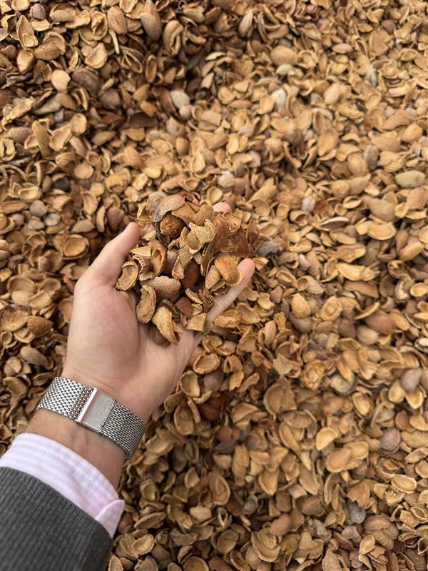 El MITECO destina 50 millones a las redes de calor y frío alimentadas por energías renovables