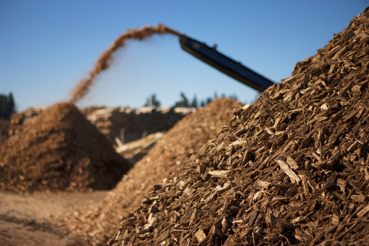 España solo aprovecha un 40% de biomasa forestal