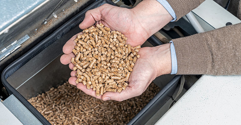 Reolum adjudica el contrato de una caldera de la planta de cogeneración con biomasa de 50 MWe a DP CleanTech para La Robla Green