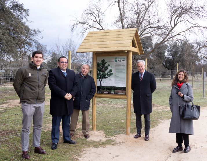  La plantación de 3,2 hectáreas está formada por 1.000 ejemplares de fresnos que han contribuido a regenerar la masa de fresnos en la Vega Sur de la Fresnera, en el Monte Sur de Boadilla.  