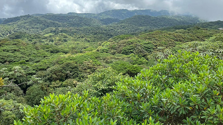 Ampliada la mayor base de datos sobre biodiversidad 