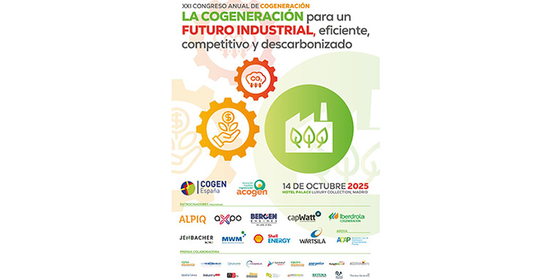 acogen cogen cogeneración