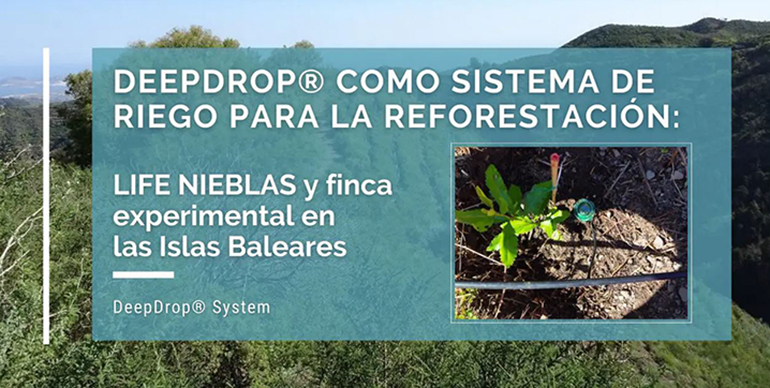Sistema de riego para la reforestación
