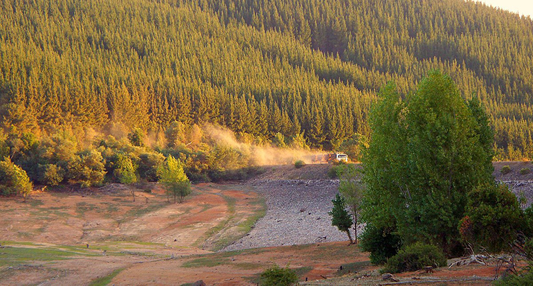 España se suma al proyecto europeo para impulsar cadenas agrícolas sostenibles y libres de deforestación