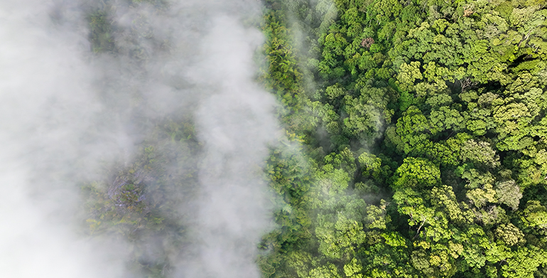 Las organizaciones ambientales piden una aplicación de la Directiva de Energías Renovables sin falsas soluciones en el transporte