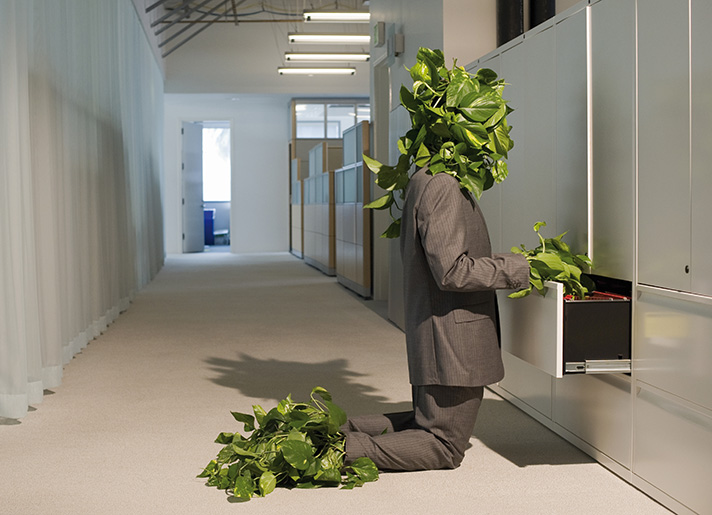 Los empleos verdes protegen el medio ambiente ¿Y a sus trabajadores?