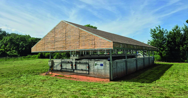 Claves del posicionamiento estratégico del Catalan Water Partnership en la implementación del uso del agua regenerada