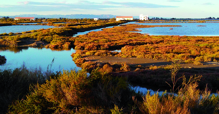 Paisajes Regenerativos: cuando el territorio late