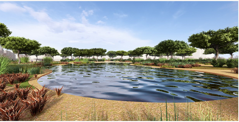 RAMBLA SUR: Torre Pacheco renaturaliza su rambla para prevenir inundaciones y potenciar la biodiversidad