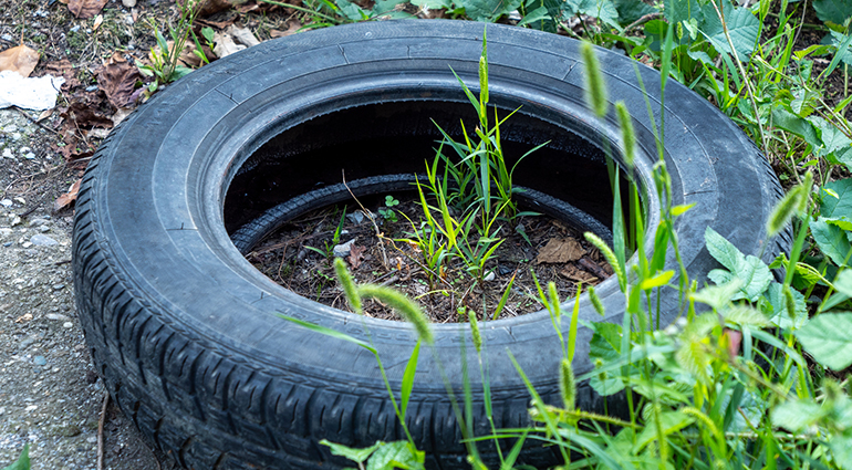 TNU recuerda la correcta gestión de neumáticos agrícolas de gran tamaño según la normativa vigente
