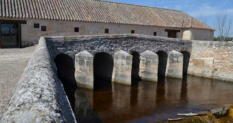 Un ‘Benjamin Button hidrológico’: el curioso caso del río Guadiana en las Tablas de Daimiel