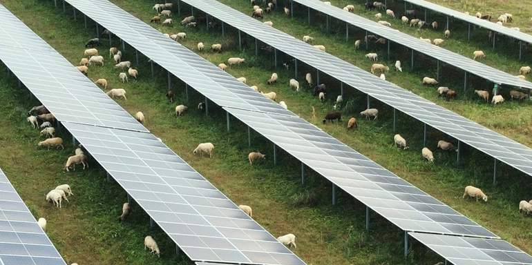 La energía solar fotovoltaica consolida su apoyo ciudadano en España como pilar de la transición energética