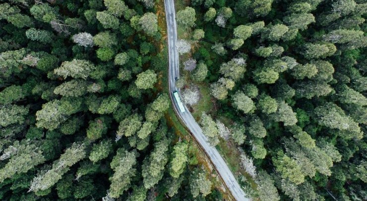 El uso de biometano, hidrógeno y gas natural en el  transporte pesado ha evitado la emisión de 500.000  toneladas de CO2 en España y Portugal en 2022