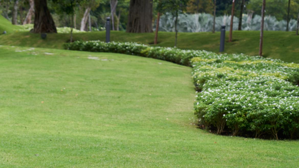 Greennatur, el proyecto de la Comunidad de Madrid investiga cómo crear praderas urbanas más resistentes y con menor consumo de agua