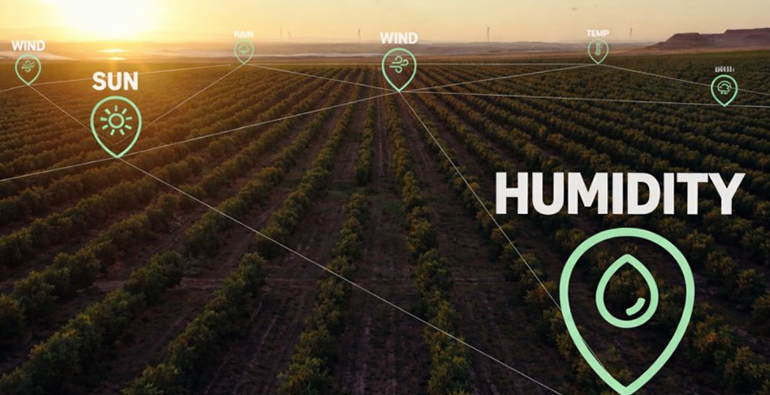 La nube y la IA de Amazon Web Services ayudan a los agricultores a ahorrar hasta un 50 % de agua anual con tecnología de riego inteligente