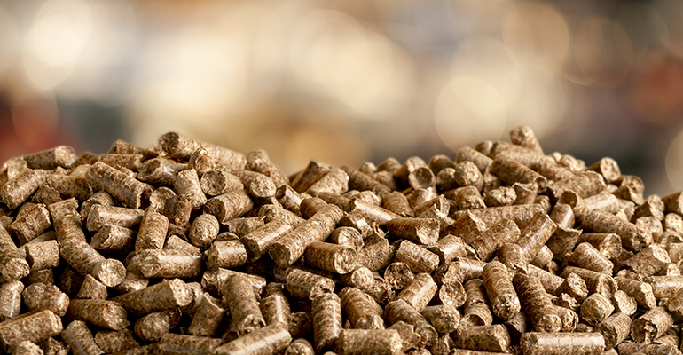 AVEBIOM prevé recuperar la producción de pellet en 2026 tras la estabilización del mercado