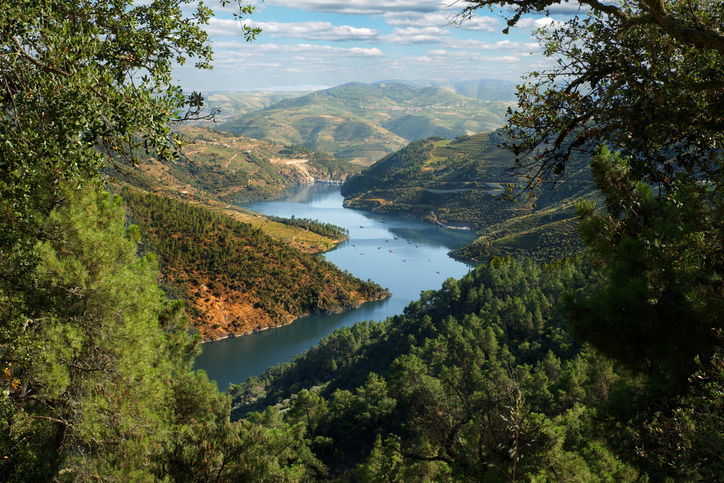 Río Duero