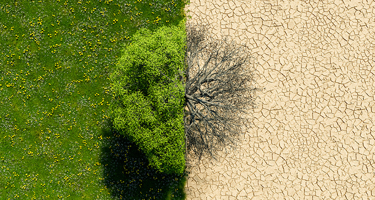 Pacto Climático Europeo sitúa la comunicación y la educación climática como pilares frente a la desinformación