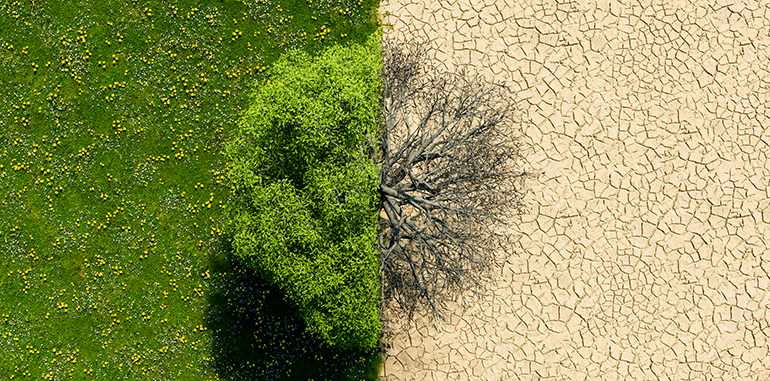 Orange refuerza su apuesta por la eficiencia energética en la Hora del Planeta