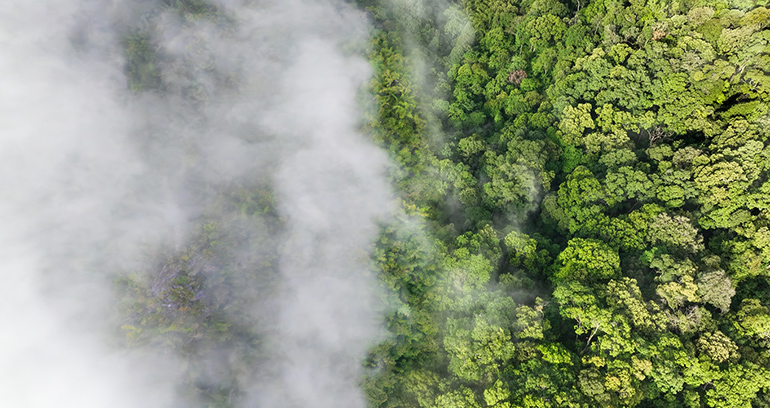 CO2PTURE desarrollará tecnologías para capturar CO₂ industrial y convertirlo en nuevos materiales sostenibles