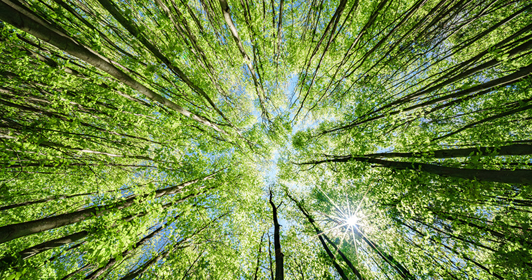 Abierta la recta final para postular a la XXVII edición de los Premios Ecovidrio de periodismo ambiental