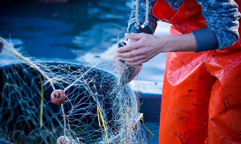 El proyecto BIRSARE desarrollará herramientas 4.0 para la circularidad de los residuos plásticos marinos