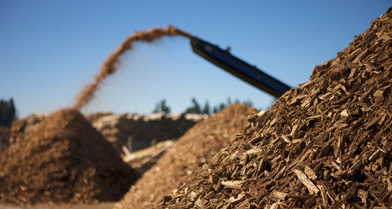 Harwasting: un proyecto europeo impulsa la economía circular y la innovación en zonas rurales