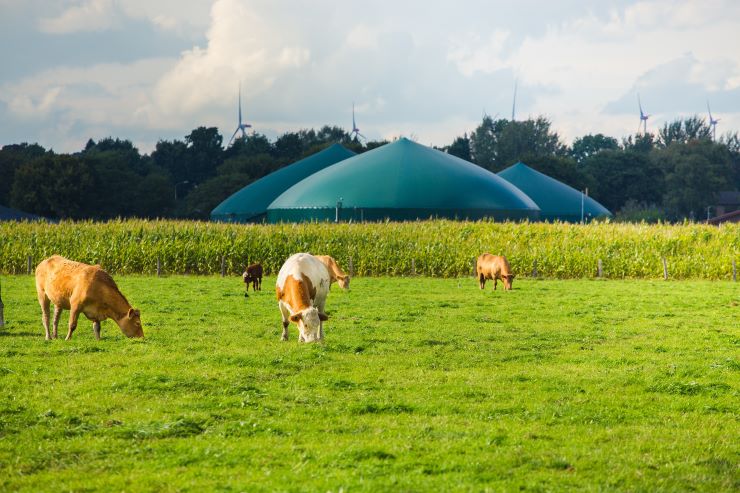 Cepsa inicia su actividad en el desarrollo de plantas de producción de biometano a partir de residuos agrícolas y ganaderos