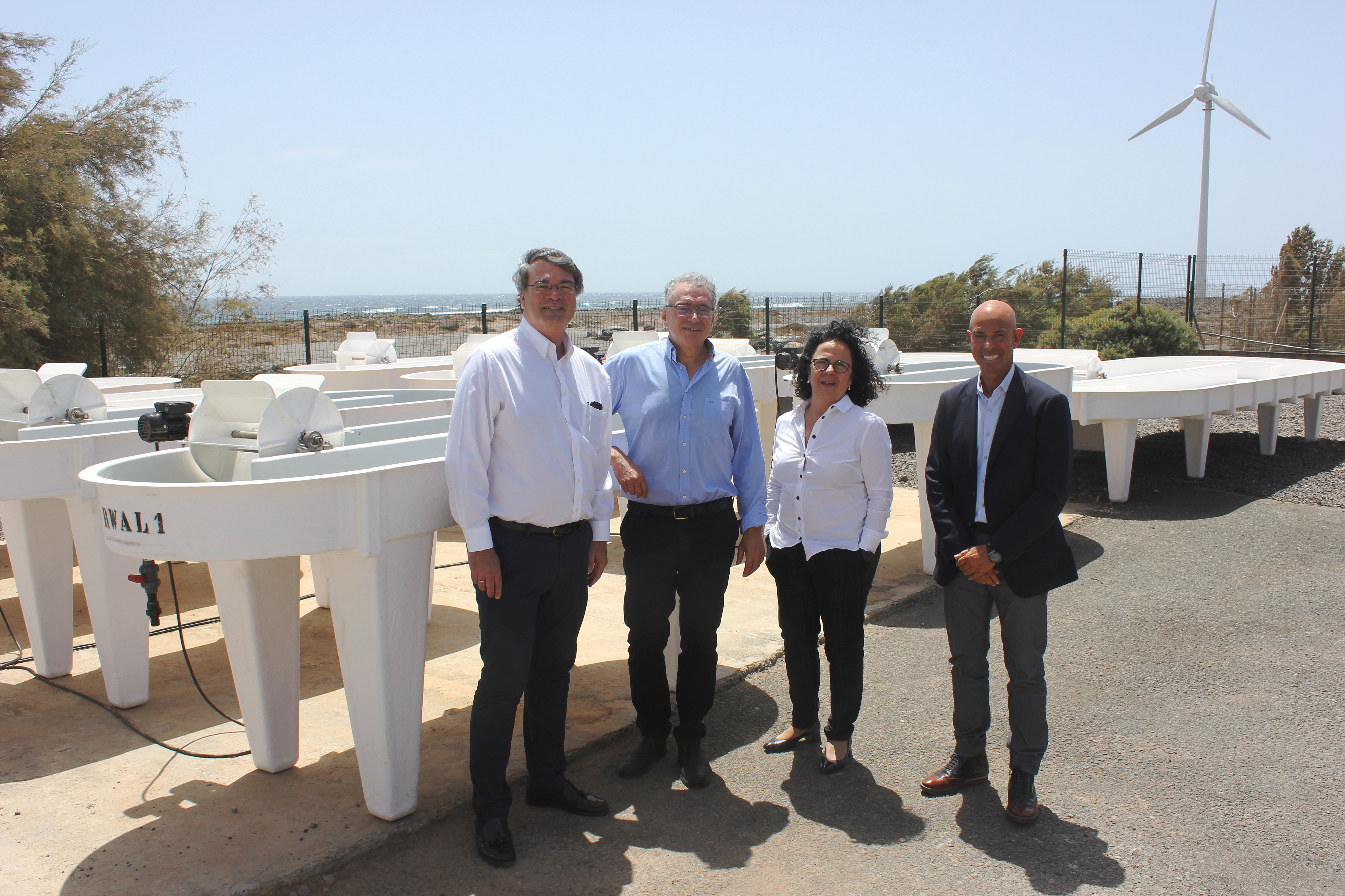 Rafael Larraz, director de I+D de Cepsa, Gabriel Megías Martínez, gerente del Instituto Tecnológico de Canarias, Joana Frontela, directora del Centro de Investigación de Cepsa, y Gonzalo Piernavieja Izquierdo, coordinador de I+D+i del Instituto Tecnológic