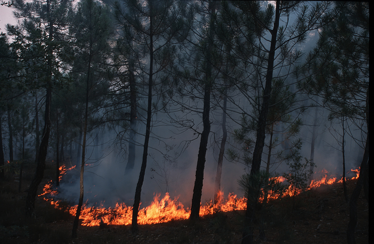 “Sofocar incendios será una tarea cada vez más difícil”