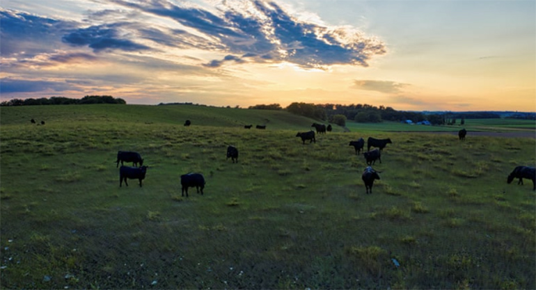 AB-Aucatel, primera entidad acreditada por ENAC para la inspección ambiental IPPC en Castilla y León