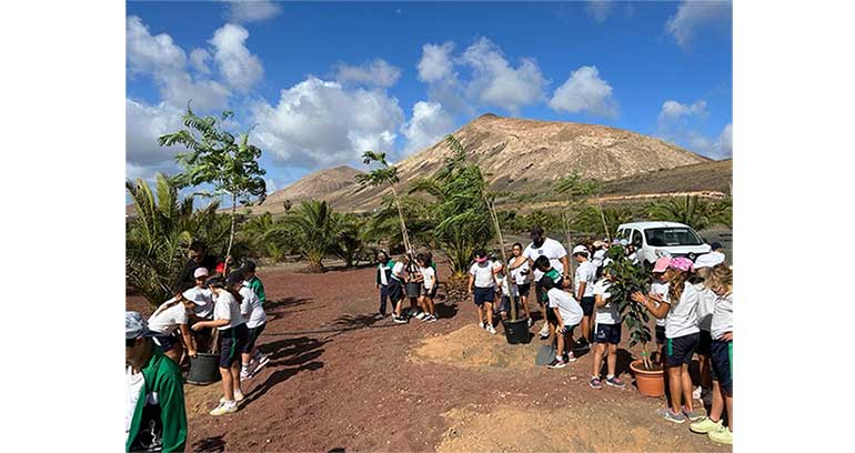 Un nuevo Bosque Ecopilas echa raíces en Lanzarote