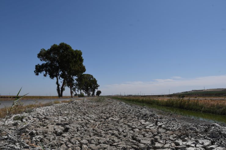 Día Mundial de Lucha contra la Desertificación y Sequía  El Foro de la Economía del Agua apela a la planificación  hidrológica y la gestión racional del suelo para la lucha  contra la desertificación
