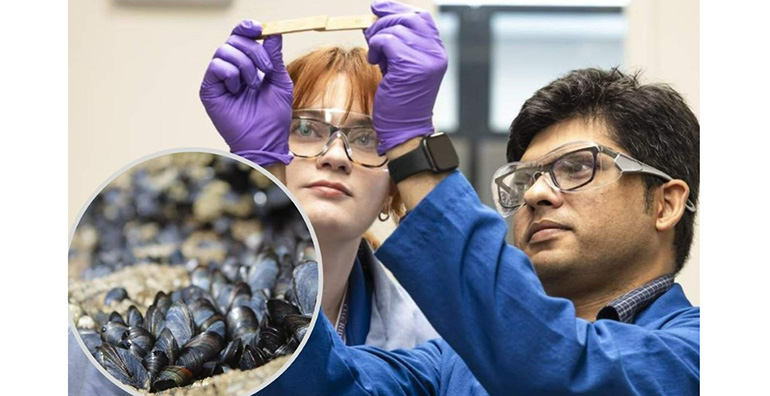 Un nuevo adhesivo reciclado revoluciona la industria: reutilizable, resistente y sostenible