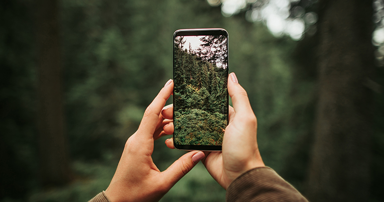 Instagram y medioambiente: mensajes positivos, ideados para la acción e individualistas