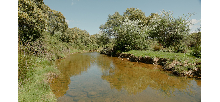 nestle-waters-avanza-en-sostenibilidad-con-su-apuesta-regeneracion-agua