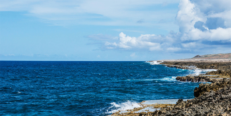 Von der Leyen impulsa OceanEye y propone una alianza internacional para reforzar la observación y protección de los océanos