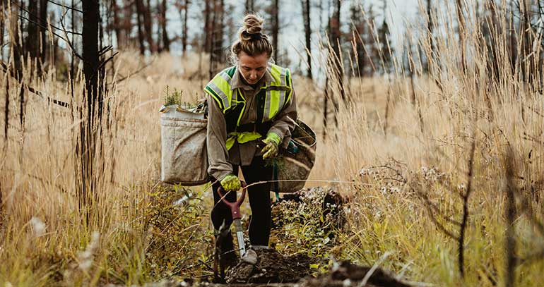 El Parlamento Europeo aprueba la Ley de restauración de la naturaleza