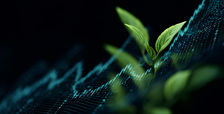 Adaptarse al cambio climático no amenaza la estabilidad fiscal: la clave está en la calidad institucional