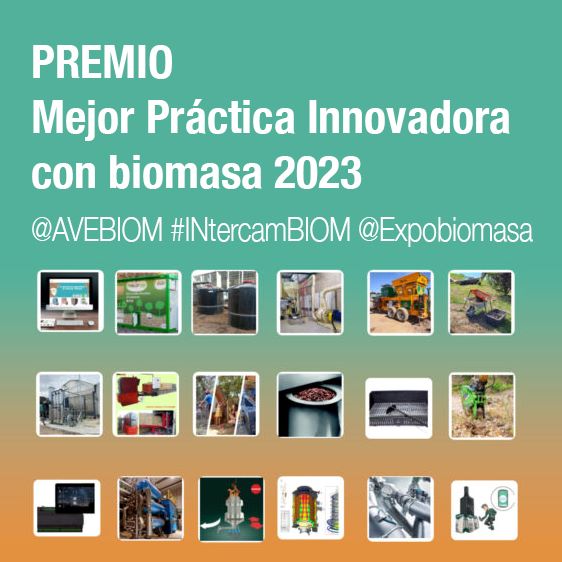 La práctica ganadora recibirá su reconocimiento el 9 de mayo, en Valladolid, tras la inauguración de la feria Expobiomasa. Ese mismo día se entregarán también los premios en la categoría de Innovación Tecnológica