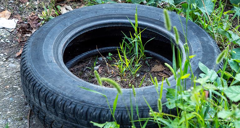 El reciclaje de neumáticos se consolida como una palanca clave para reducir emisiones y avanzar en la economía circular