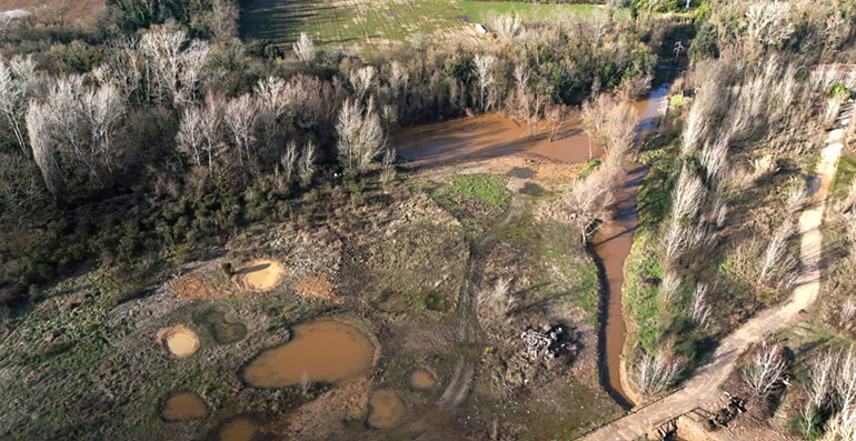 Nestlé colabora con el Consorci del Ter en la restauración de zonas húmedas que favorecen la biodiversidad fluvial